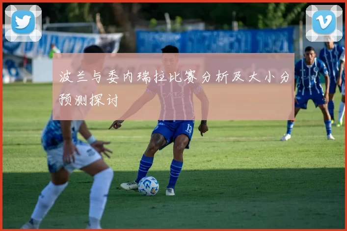 波兰与委内瑞拉比赛分析及大小分预测探讨
