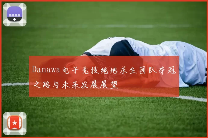 Danawa电子竞技绝地求生团队夺冠之路与未来发展展望