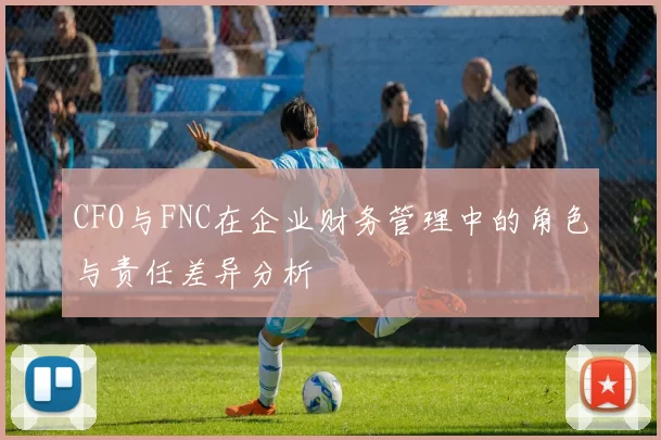 CFO与FNC在企业财务管理中的角色与责任差异分析