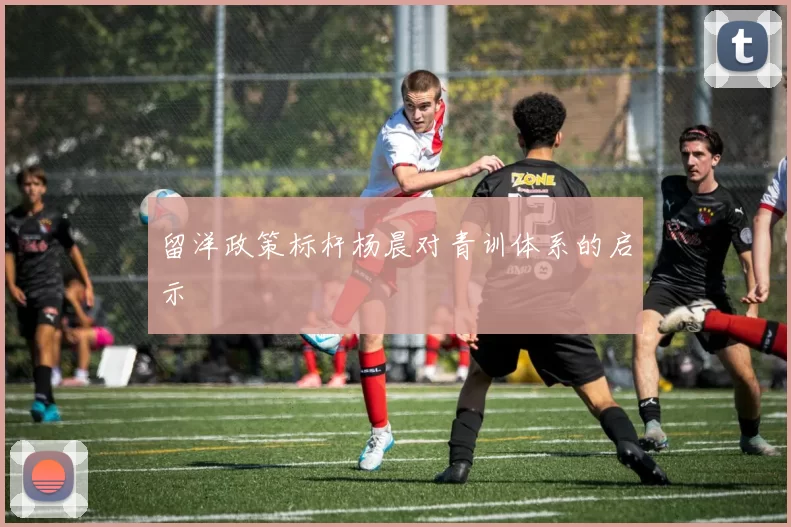 留洋政策标杆杨晨对青训体系的启示