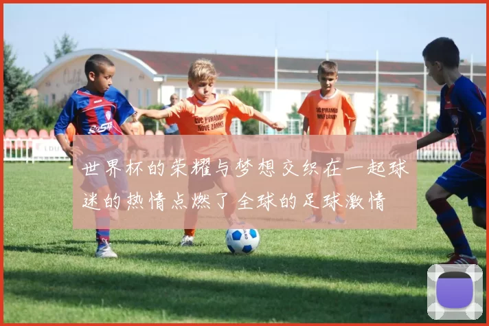 世界杯的荣耀与梦想交织在一起球迷的热情点燃了全球的足球激情