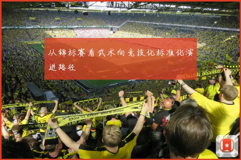 从锦标赛看武术向竞技化标准化演进路径