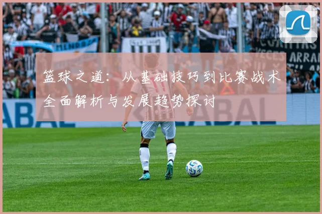 篮球之道：从基础技巧到比赛战术全面解析与发展趋势探讨