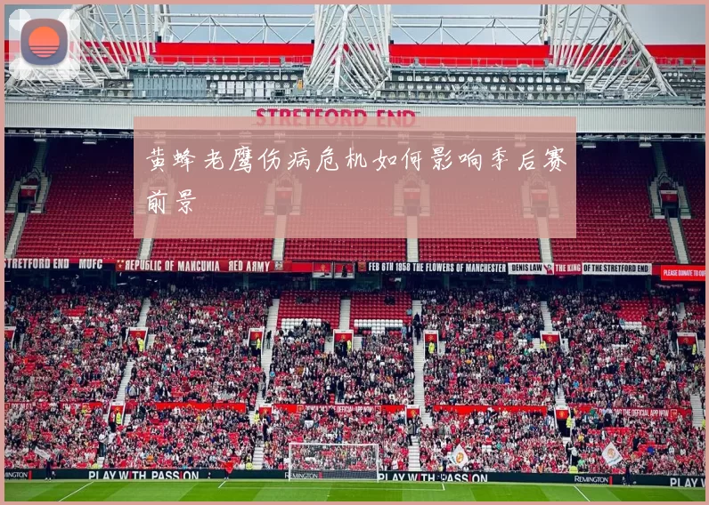 黄蜂老鹰伤病危机如何影响季后赛前景